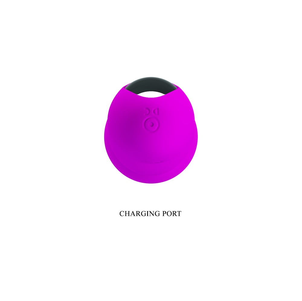Pretty Love Paul Purple 2