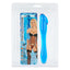 206.Penis Probe Ex Clear Blue