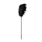 GP Large Feather Tickler Black